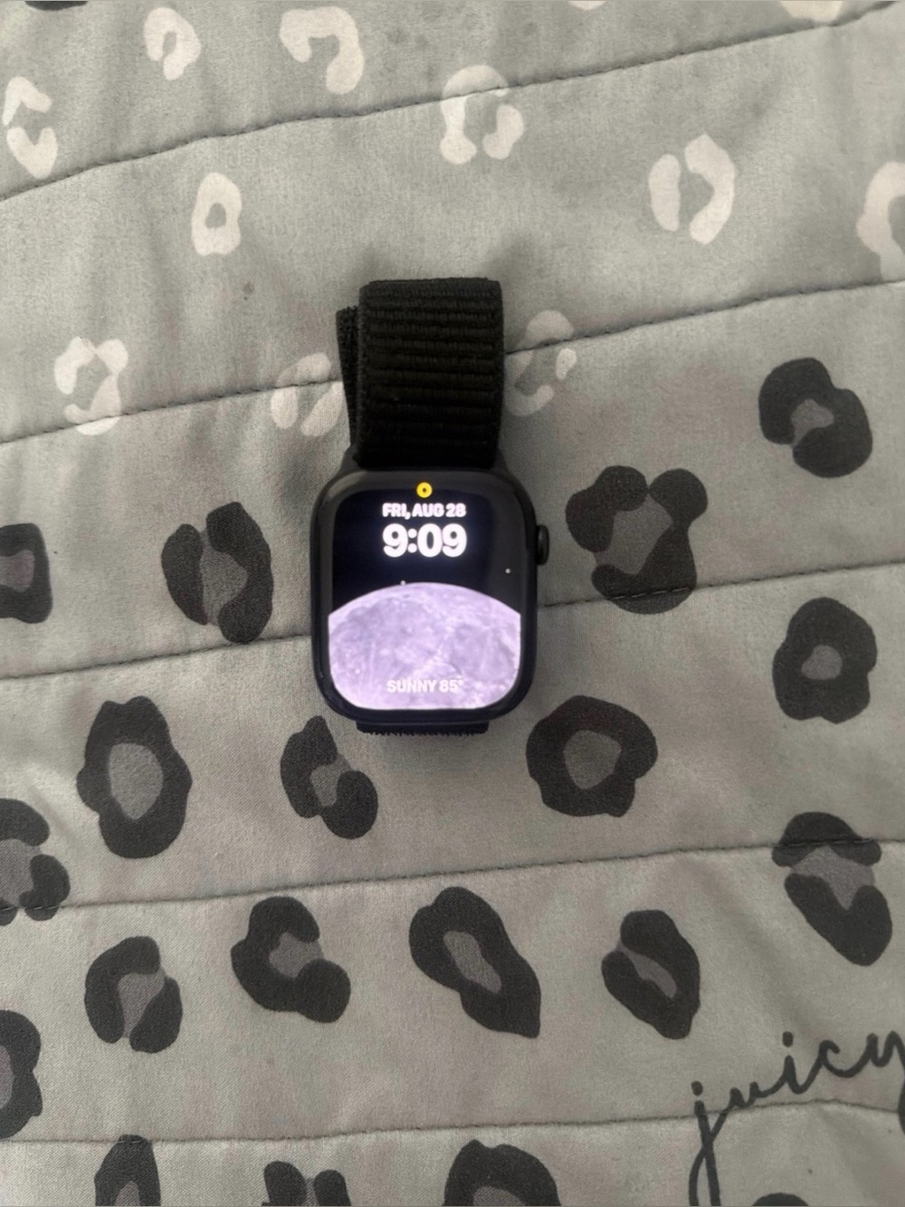 Apple Watch Series 10 46mm • 64.0GB • Jet Black
Aluminum Black Sport Band M/L
